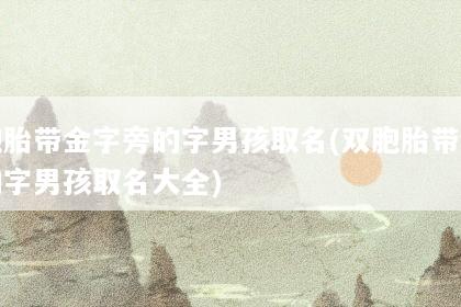 双胞胎带金字旁的字男孩取名(双胞胎带金字旁的字男孩取名大全)