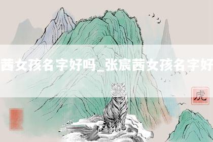 张宸茜女孩名字好吗_张宸茜女孩名字好吗怎么取
